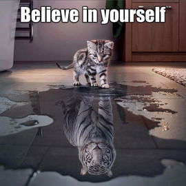 ALWAYS ;-)...