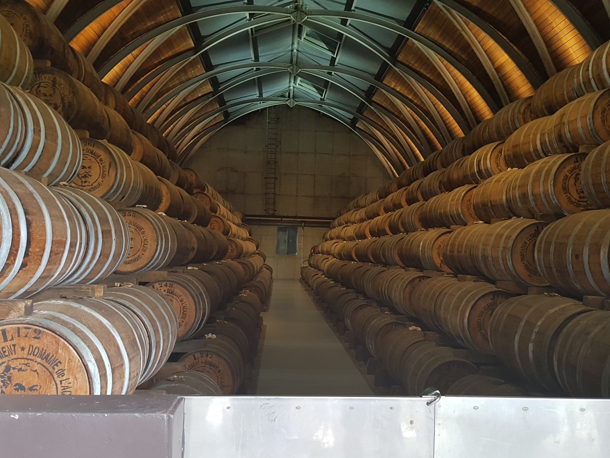 Das "Angel-Dust"-Bild zu meinem Kommentar vom Tangier Vanille...