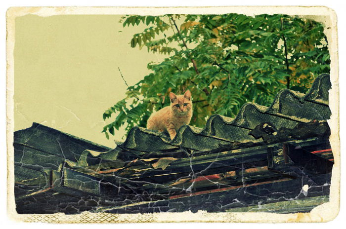 Death from above...