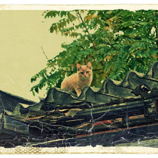 Death from above...