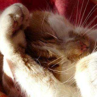 Spätestens jetzt hast ...