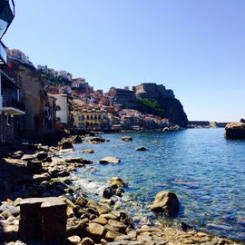 Scilla...Mix aus Capri ...