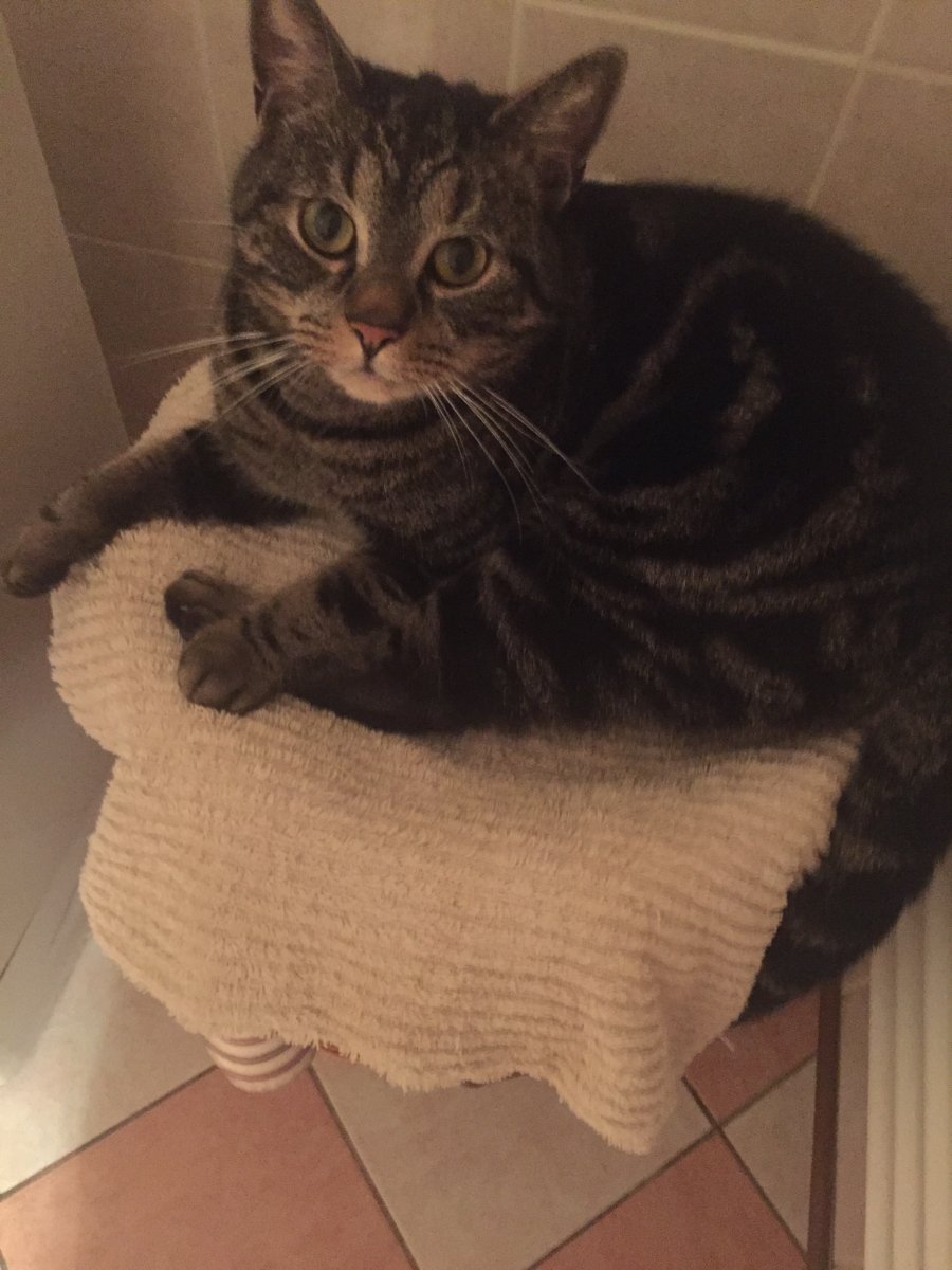 An der Heizung im Bad ist schön warm