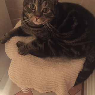 An der Heizung im Bad i...