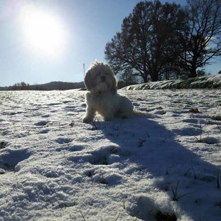 Winterliebe...