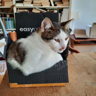 Konnte Frau nicht mehr ...