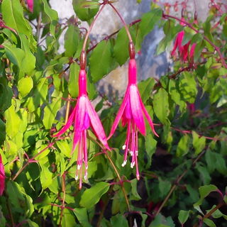 Just the Two of Us......