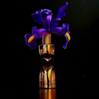 Manifesto Le ParfumYves...