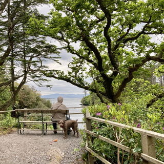 Wohlverdiente Rast im D...