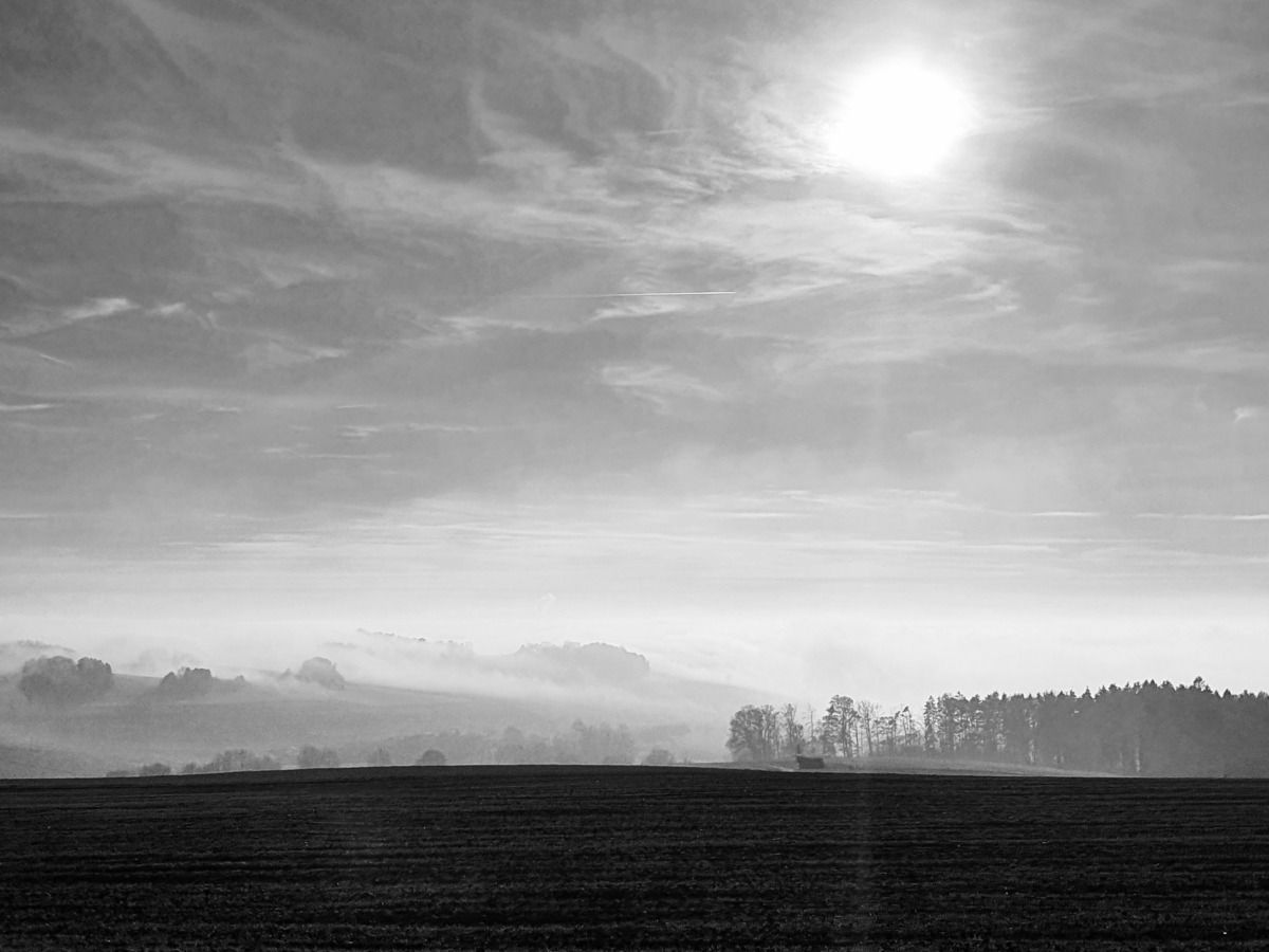 Schwarzwald im Winter.