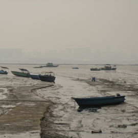 Fragrant Harbour, oder ...