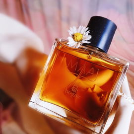 Daisy | MAAI 🌼