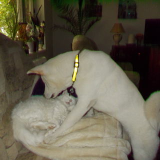 Irgendwie riechst Du na...