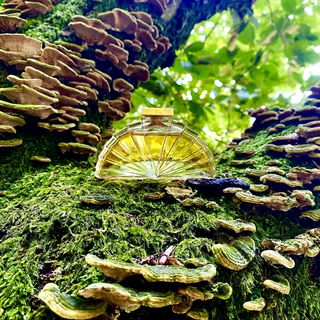 Auch abgelehnt..........