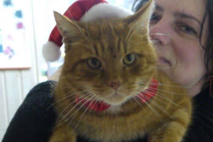 Fröhliche Weihnachten vom missmutigen Muffin ;-)