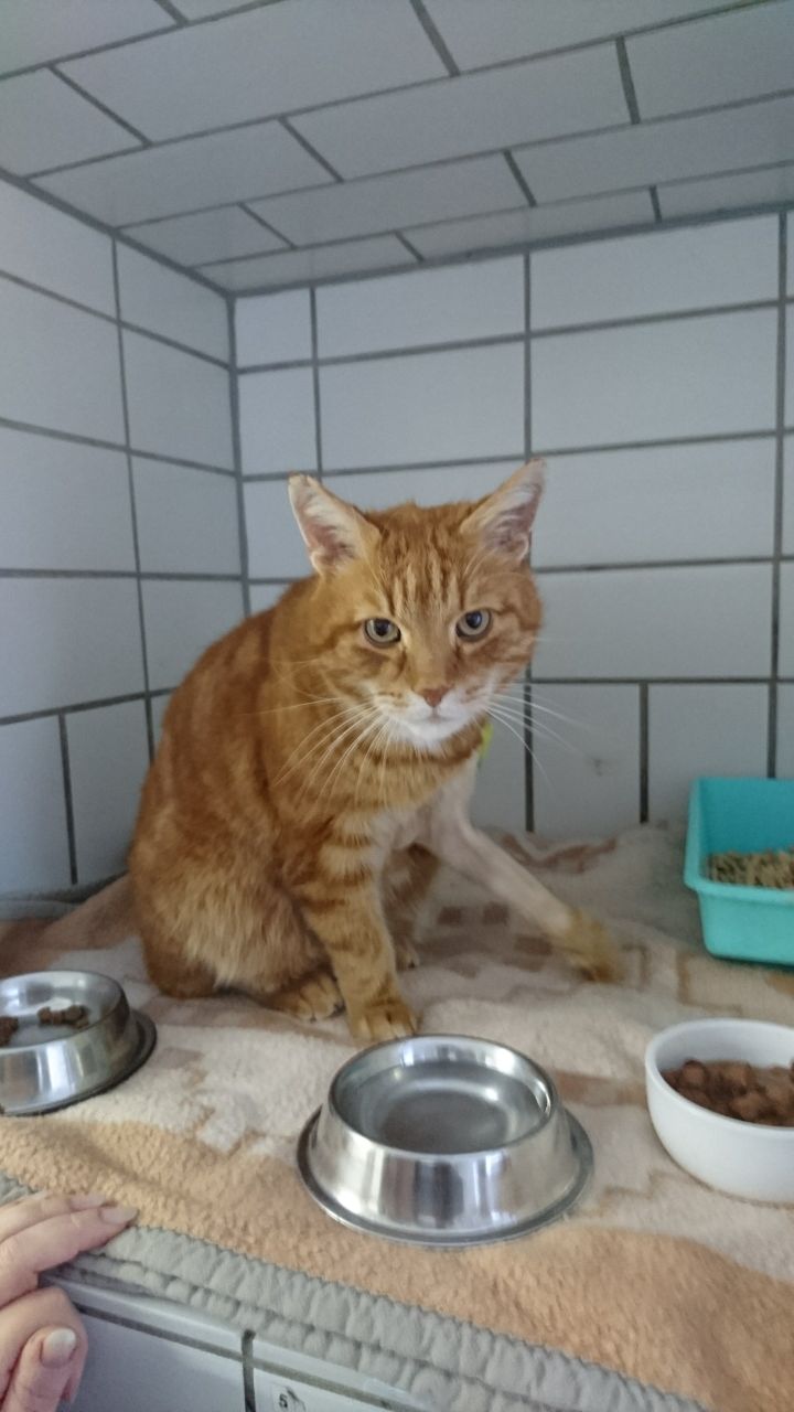 Muffin bleibt bis Ende August 2017 im Knast