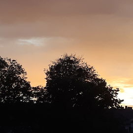...Abendstimmung im Aug...