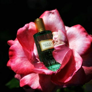 Abgelehnt am 24.6.25