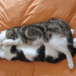 Bekennerschreiben vom 2...