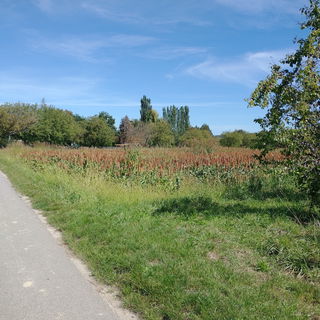 Radweg quer durch die F...