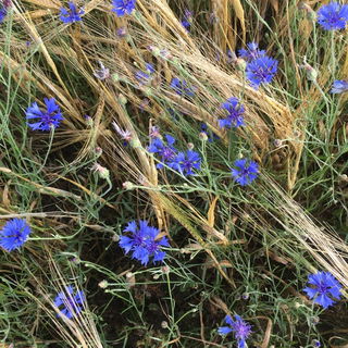 Lange nicht mehr gesehe...