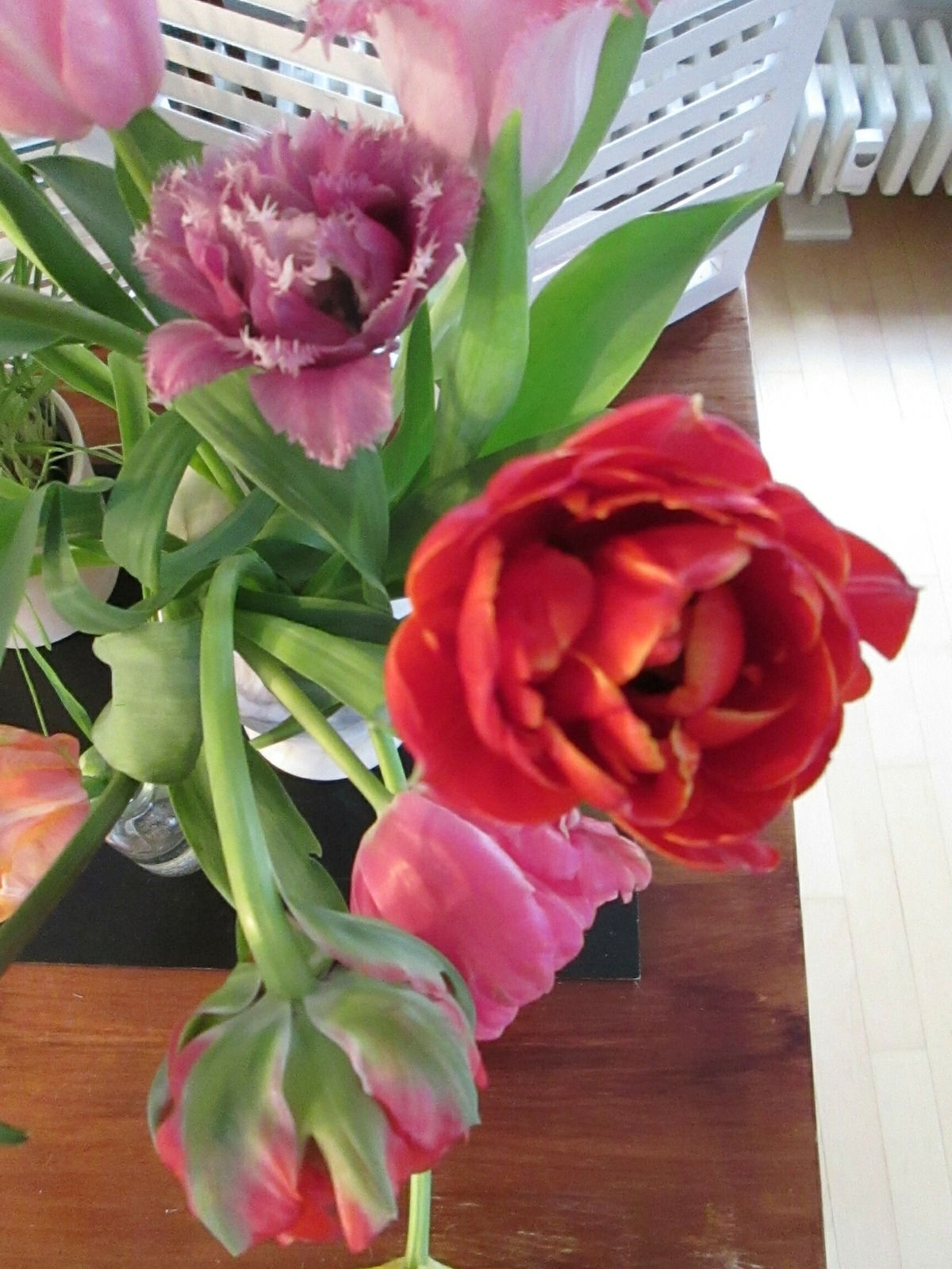 Tulpen gefüllt mit Duft (Safran+herb-grün)