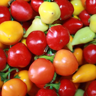 Peperoni