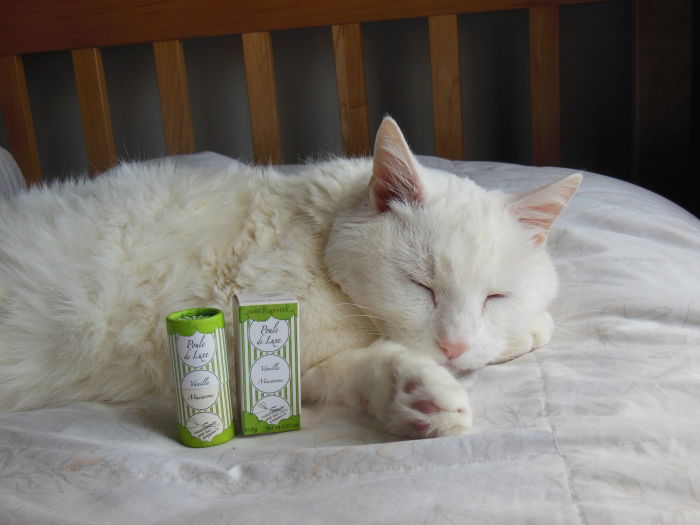 HRH Emperor Oliver poses with Poule de Luxe Vanille Macarons (not in database).