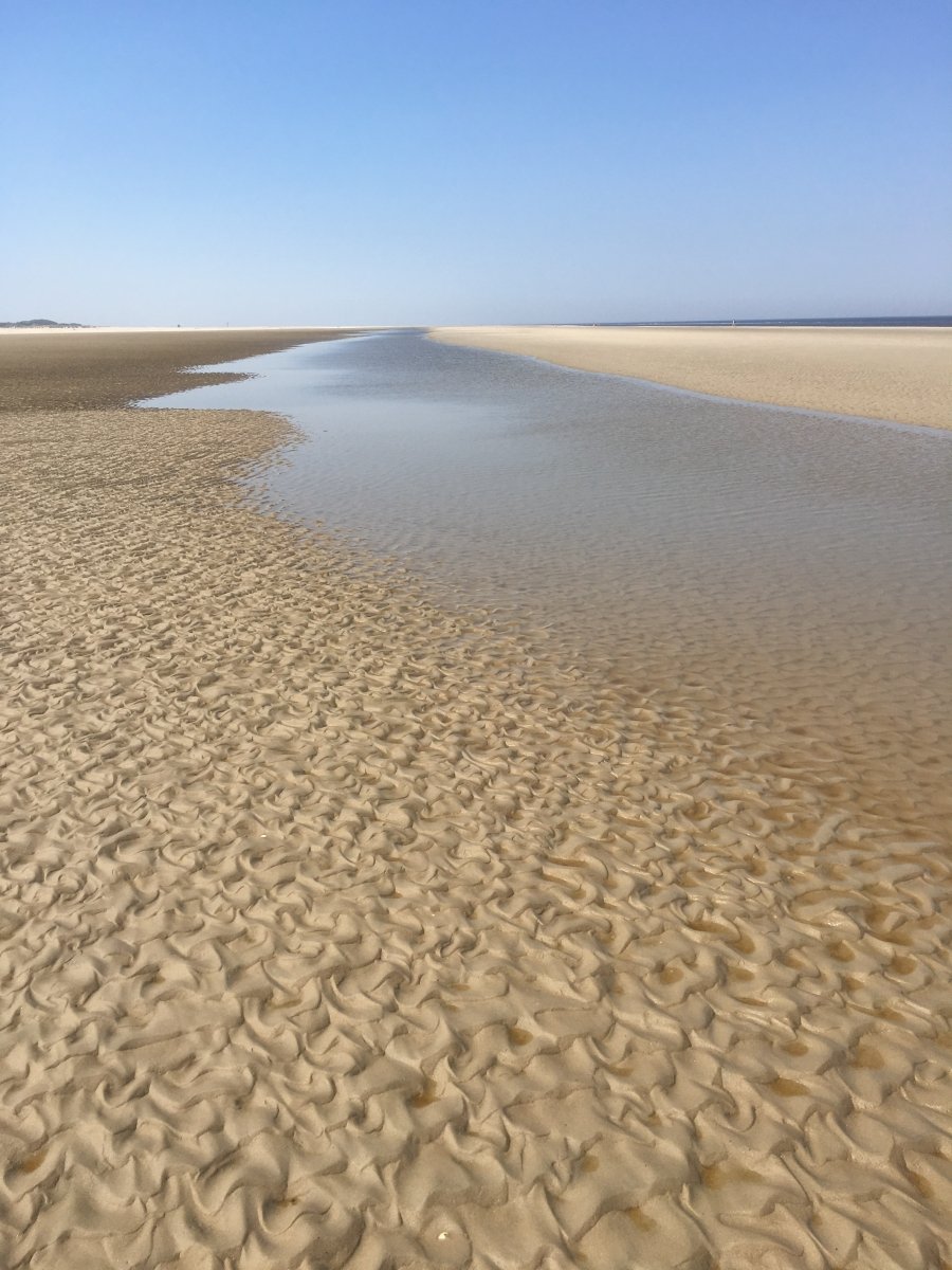 Borkum 2018