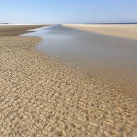 Borkum 2018