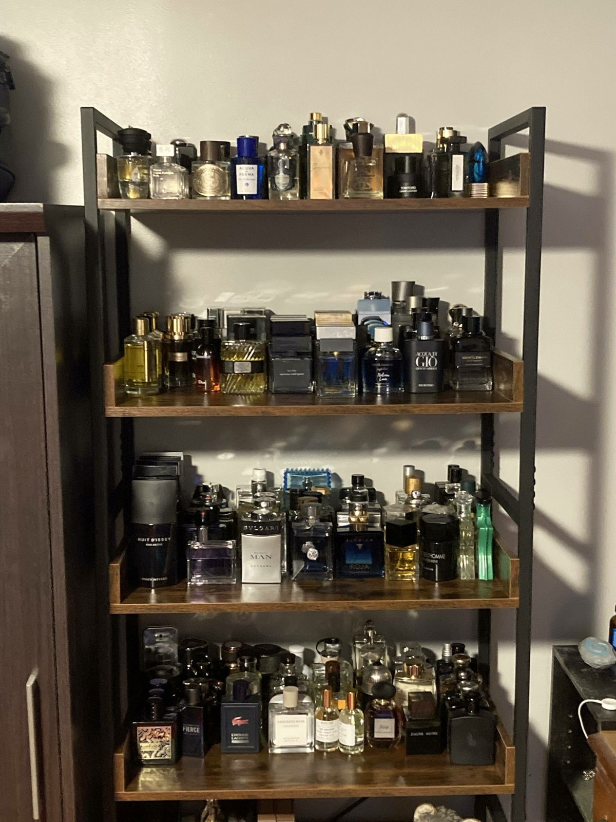 The collection, Nov. 2023