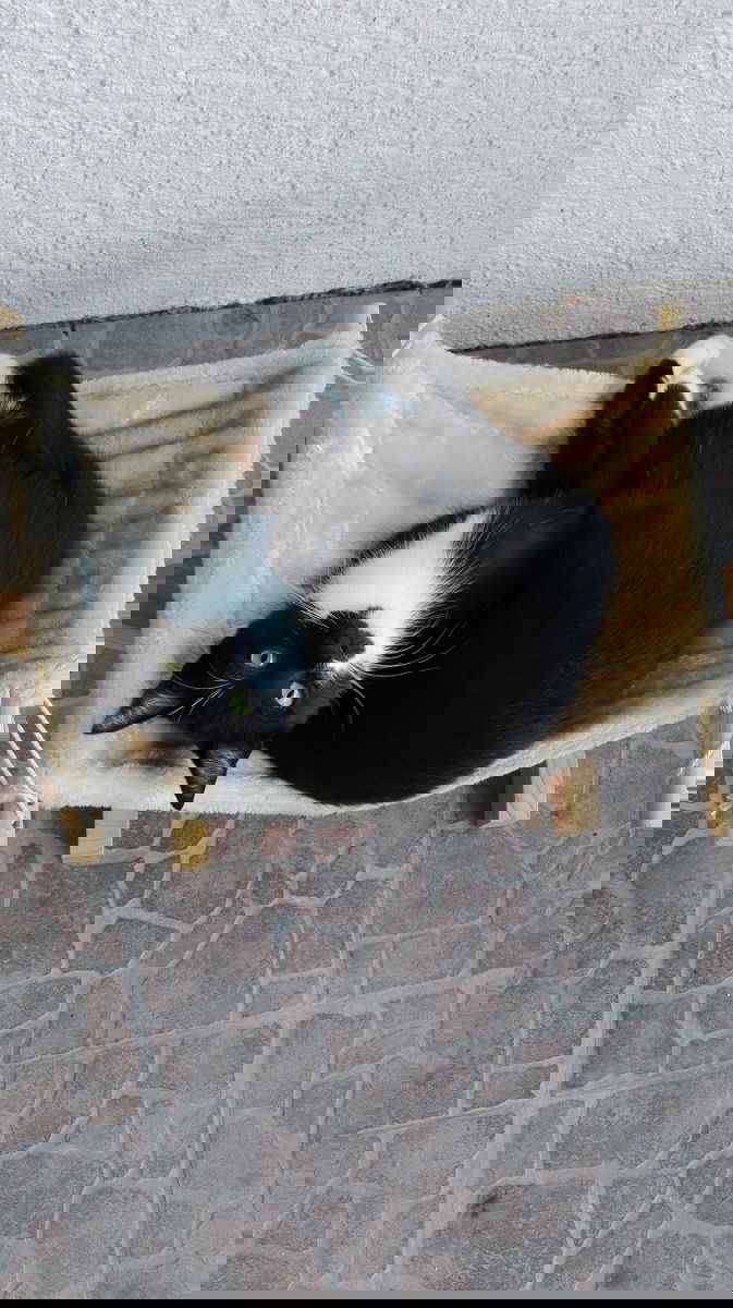 Mein beste Duftberatung. Wenn was scheußlich riecht wird geflüchtet