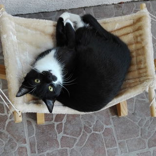 Mein beste Duftberatung...