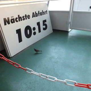 Aha.... soso... interes...