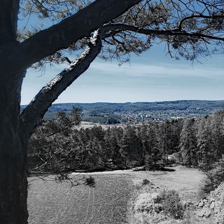 Heimat.Links oben.Kein ...