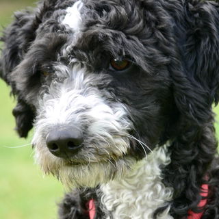 .....und unvergessen!...