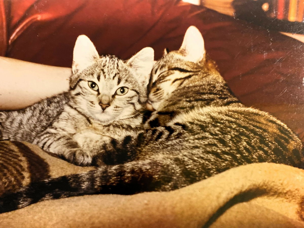 Mine und Toppi - R.i.P.