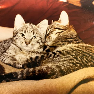 Mine und Toppi - R.i.P....