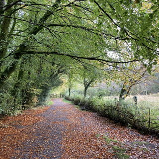 Glengarriff Nature Rese...