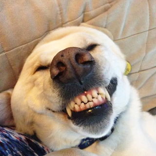 When someone is smiling...