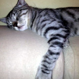 Wer bin ich? Ich bin wi...