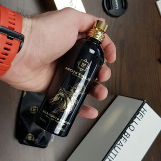 Arabians Tonka