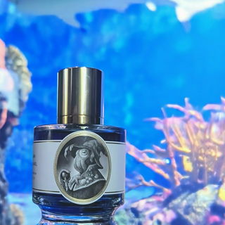 Abgelehnt, Aquarium Ber...