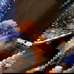 Bahn fahren macht einfa...