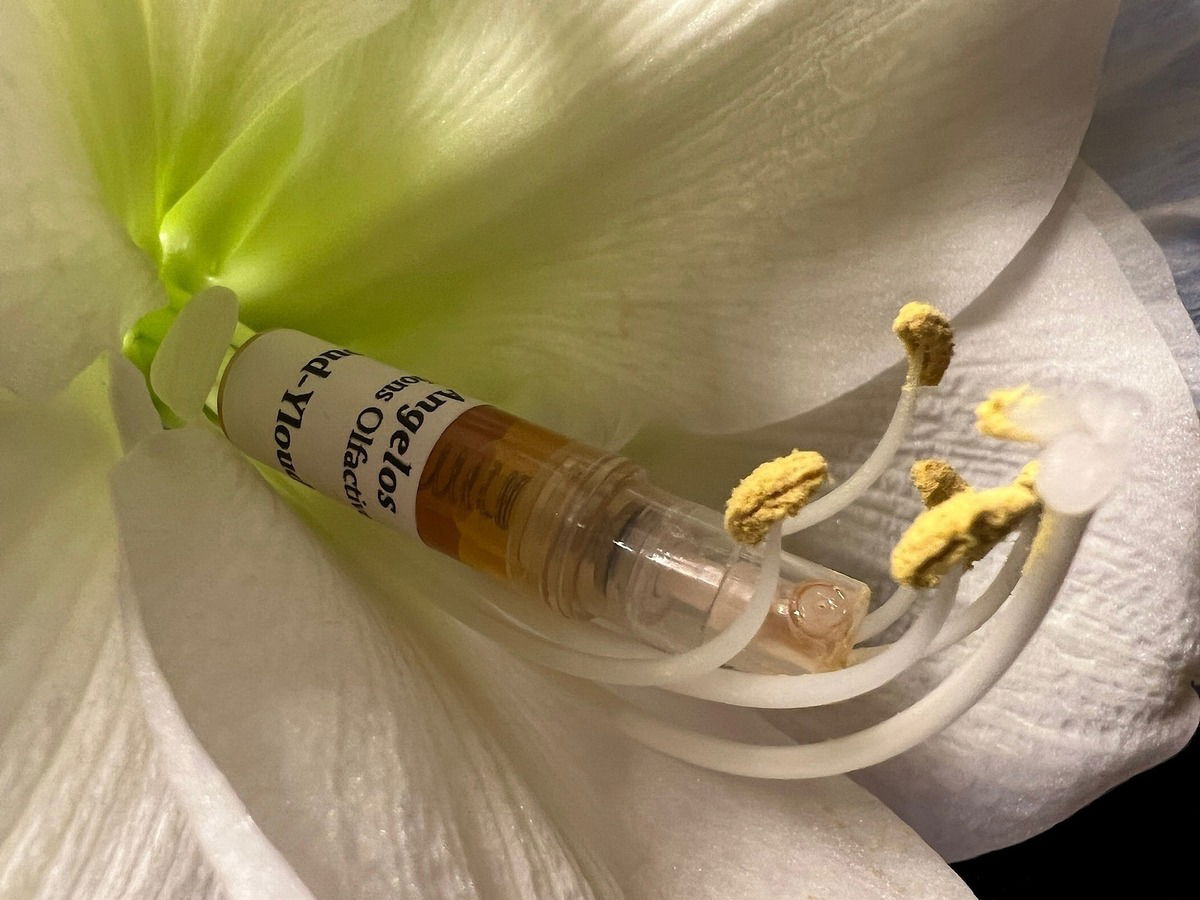 Yloud-Yloud / Angelos Créations Olfactives / 17.11.2023