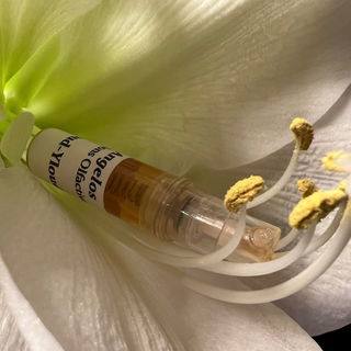 Yloud-Yloud / Angelos C...