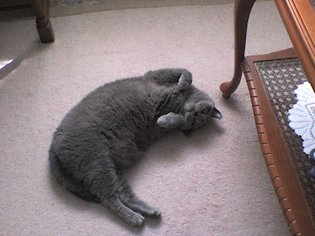 Moritz beim wohlfühlen