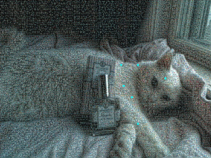These collage-photo mosaics of HRH Emperor Oliver were produced using open source AndreaMosaic and are built of all of the perfume photos taken of him from January 2012 through September 12, 2013. He took leave of this world on September 16, 2013. RIP.