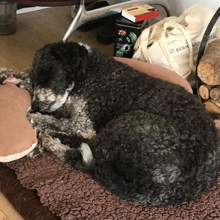 Nach der Chemo - müde!...