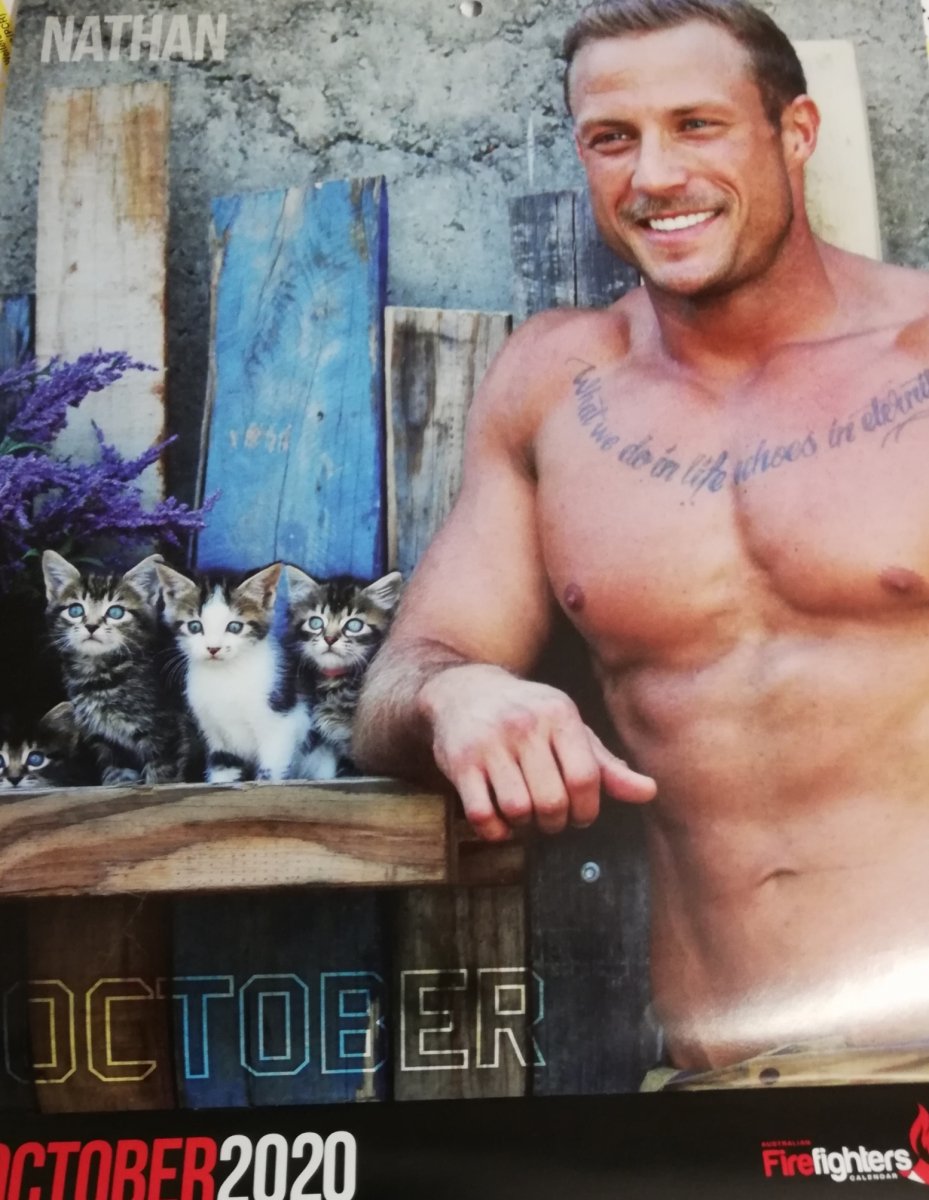 Hab einen Katzenkalender zu Weihnachten bekommen :o)